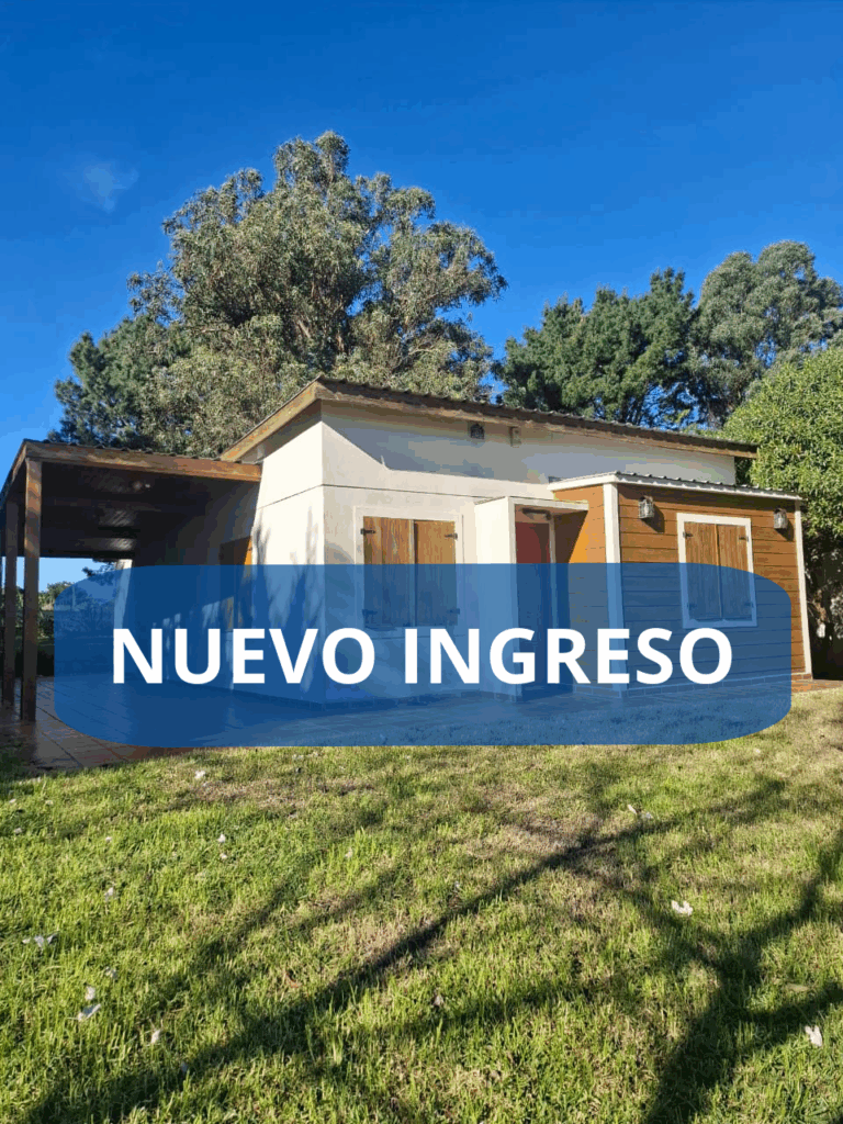 NUEVA E 12