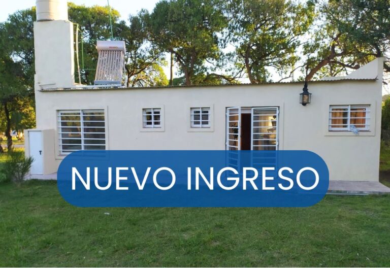 NUEVA (3)